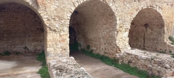 Dermata Gate