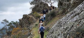 The Cyprus Strollers