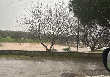 Heavy rainfall wreaked havoc in the Minoa Pediada Municipality