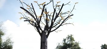 Tree of Souls