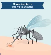 mosquito control program