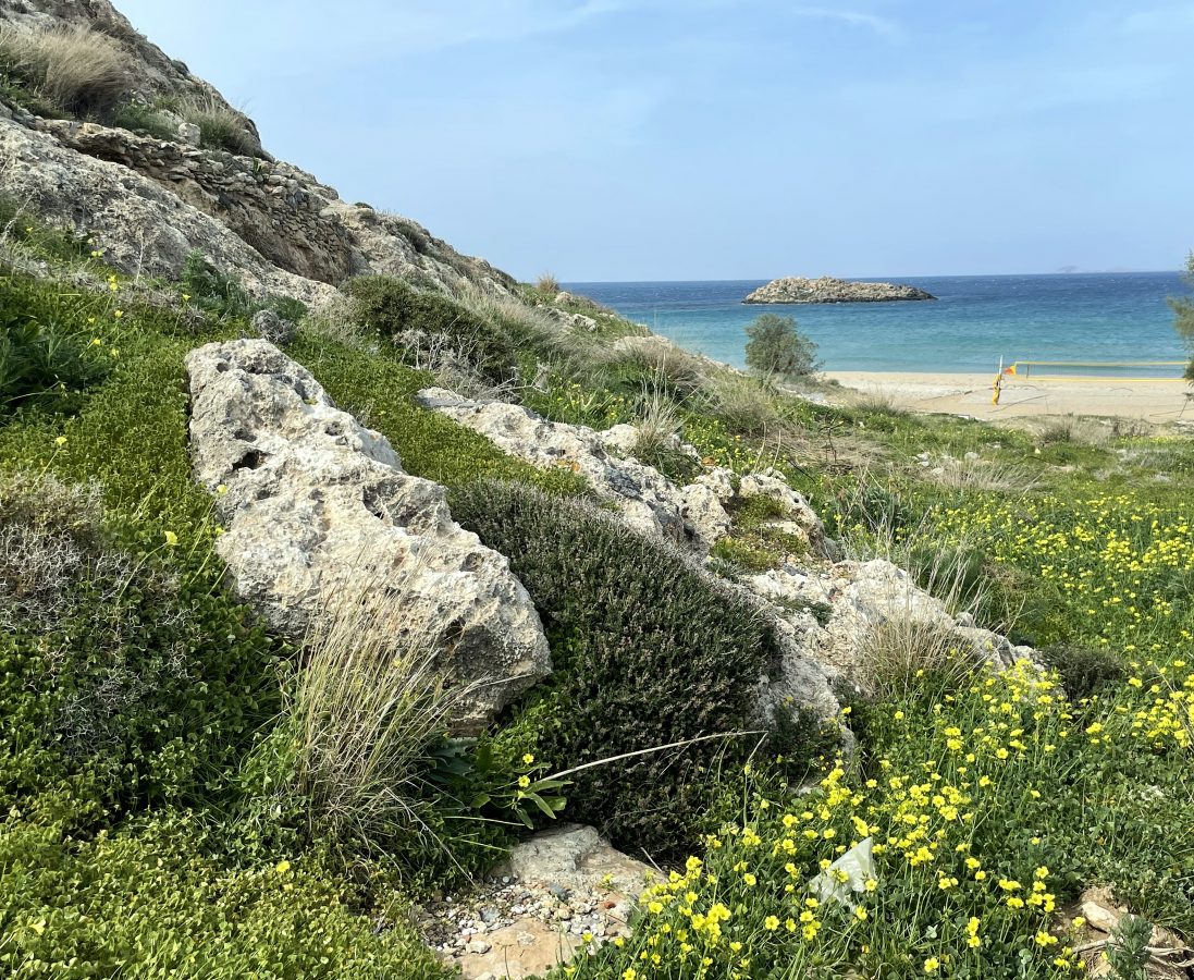 View of Amnissos and the Cretan Sea from the 3,500 year old Villa of Lillies at Amnissos - Author's image