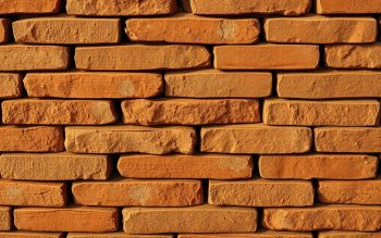 party wall