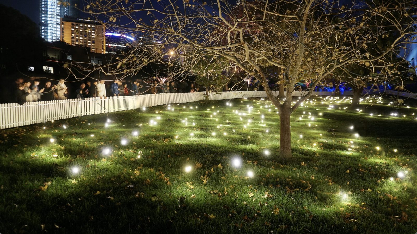 Firefly Field Studio Toer Outdoor installation