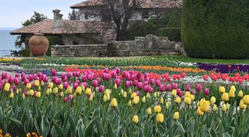 University Botanical Garden of Balchik Tulip parade