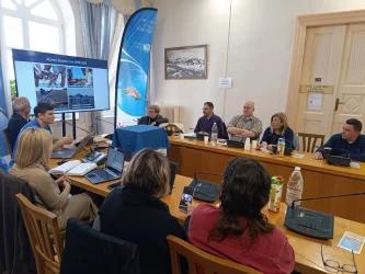meeting for measures for the protection of the loggerhead sea turtle