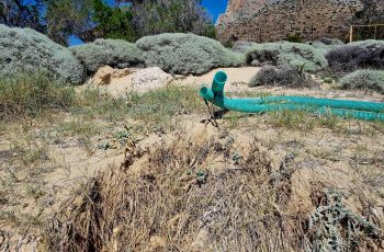 environmental crimes unfolds at Pachia Ammos