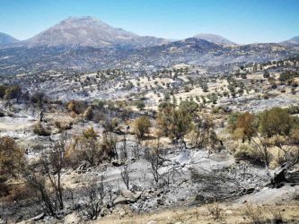 Amari devastating fires August 2024