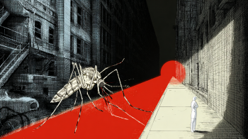 Chikungunya Mosquito-Borne Virus