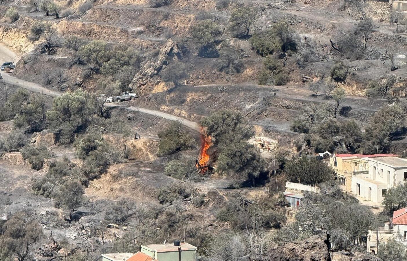 Temenia fire