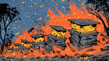 more than 2,000 beehives destroyed by fire
