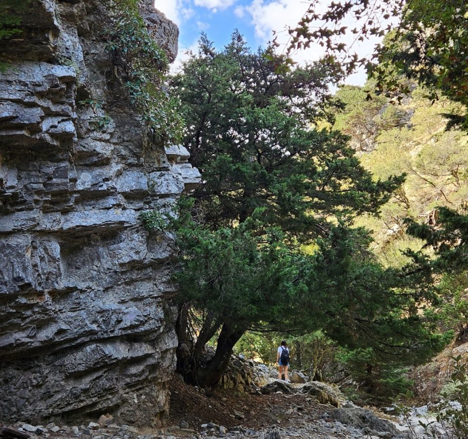 Imbros Gorge