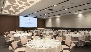 Theartemis Palace conference hall