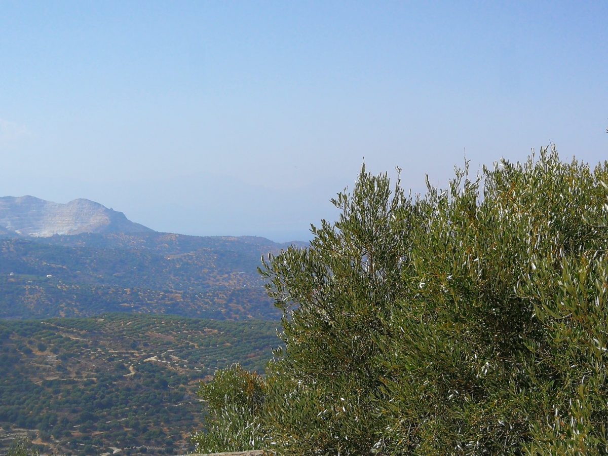 Lasithi Strategic Development