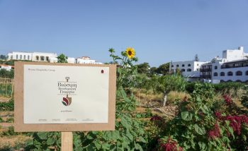 ORA Standard certification Metaxa Group