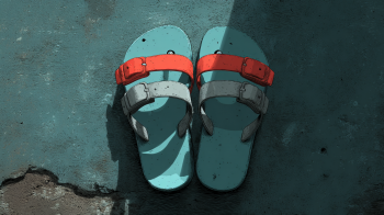 slippers