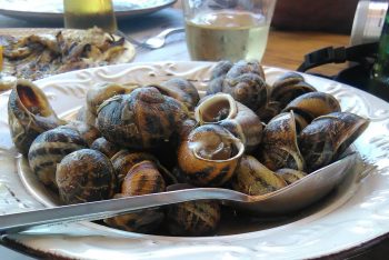snails