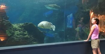 CRETAquarium Thalassokosmos