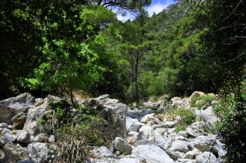 Sarakina Gorge