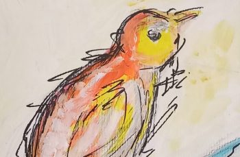 canary