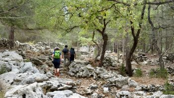 european tour operators