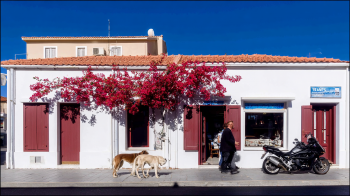 Rethymno Veterinary Department