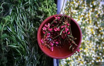 Wild Herbs Calendar of Crete
