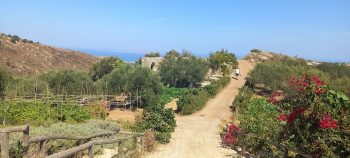 Crete tourism plan 2026 illustration