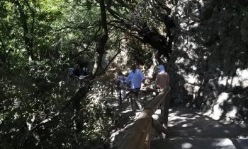 Gorge of Patsos Crete hiking season