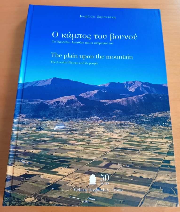 The Plain Upon the Mountain book