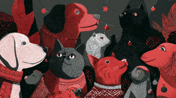 Chrstimas Pet Festival