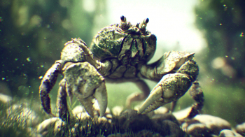 Crustacean intelligent