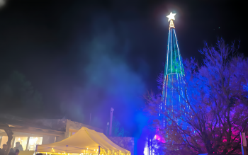 Europe's tallest Christmas tree
