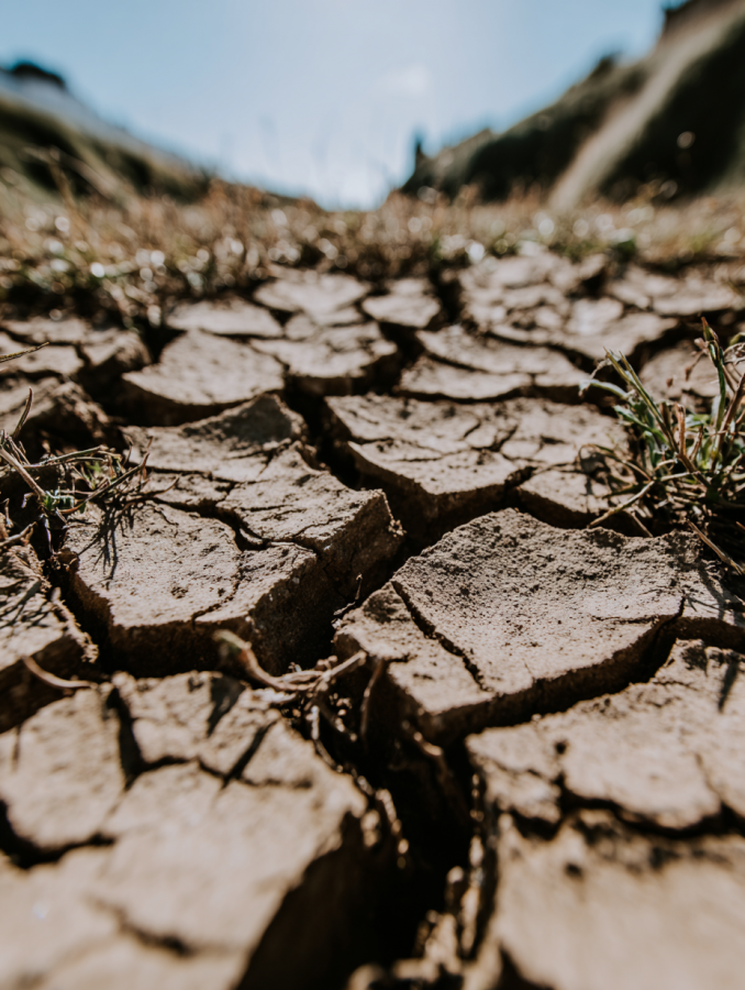 Mediterranean landscape in eastern Crete