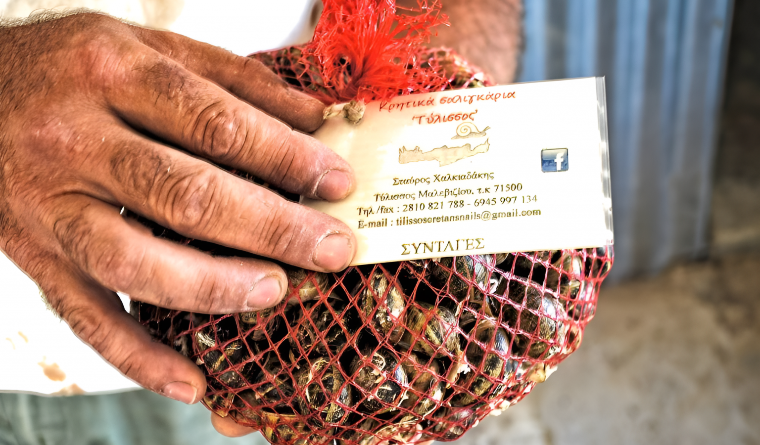 Snails for the season.