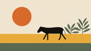 Crete Donkey Dental Care 2026