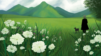 Greece Hiking Trails €5.5m network