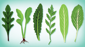 wild edible greens