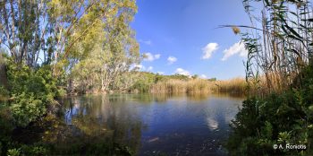 Almyros River reservoir wetland