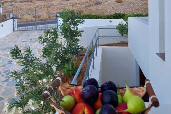 Crete Hotel Bookings Freeze resilience