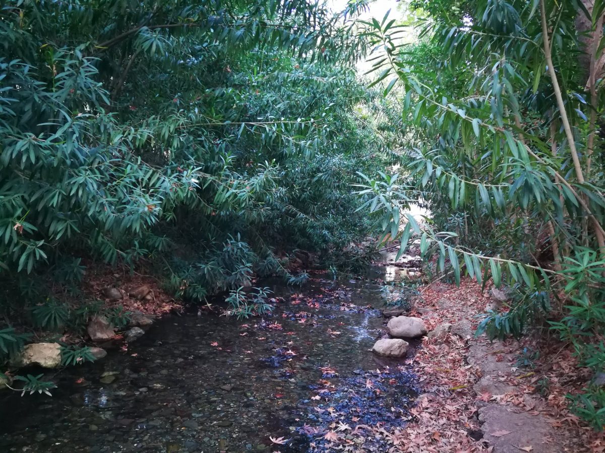 Pantomantris River in Fodele