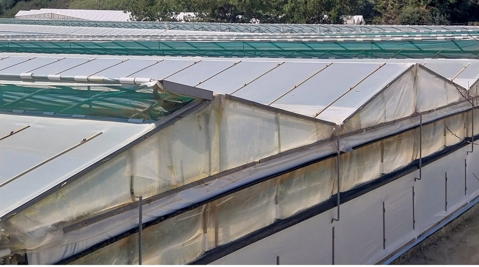 Ierapetra greenhouses