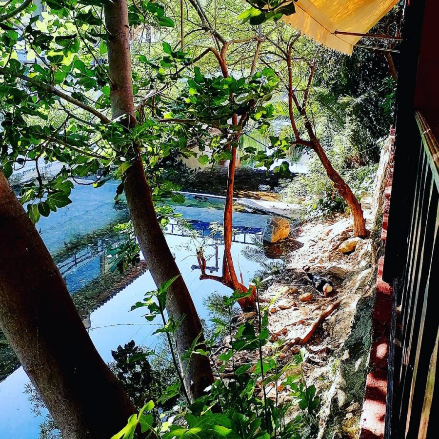 Pantomantris River from Taverna Giasemi in Fodele.