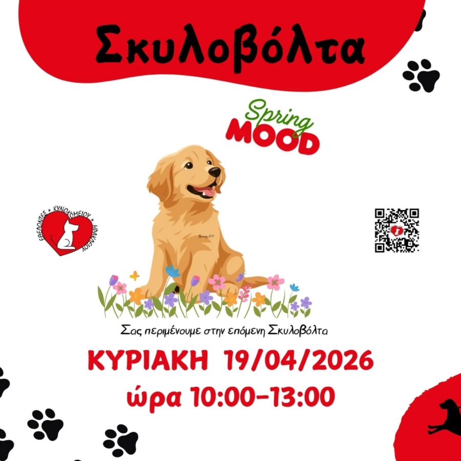 Sunday dog walking event