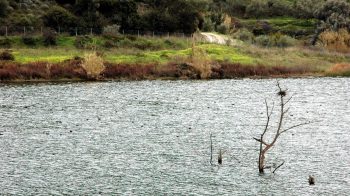Faneromeni Dam Cretan Beaches