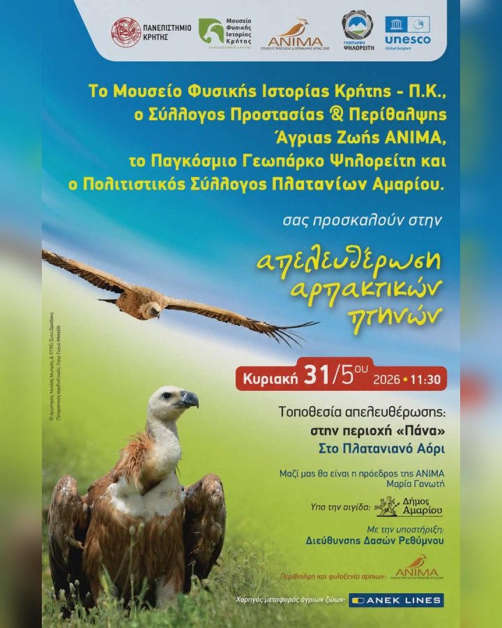 ANIMA event poster