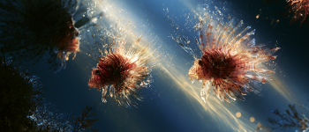 13 invasive species illustration