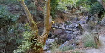 Cretan Trails