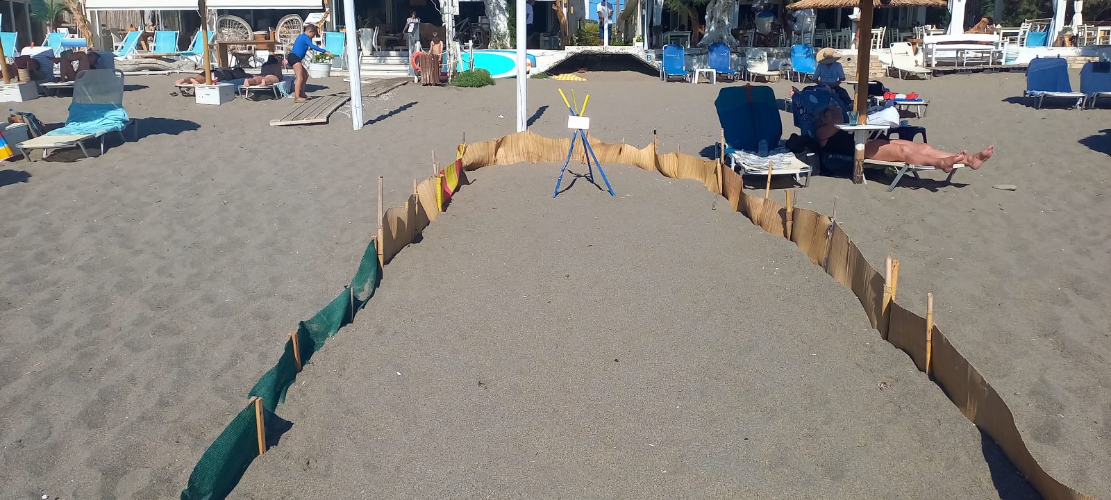 Kalamaki Beach sea turtle nest