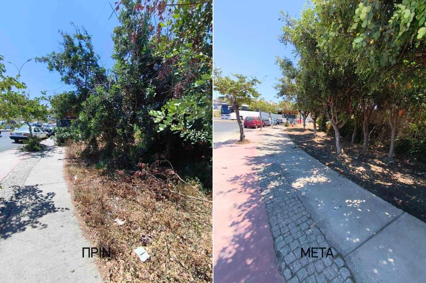 another before and after